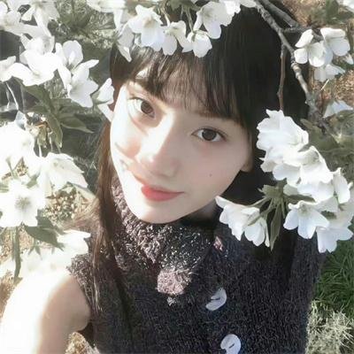 青春之歌