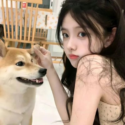 咒怨:白色鬼妇