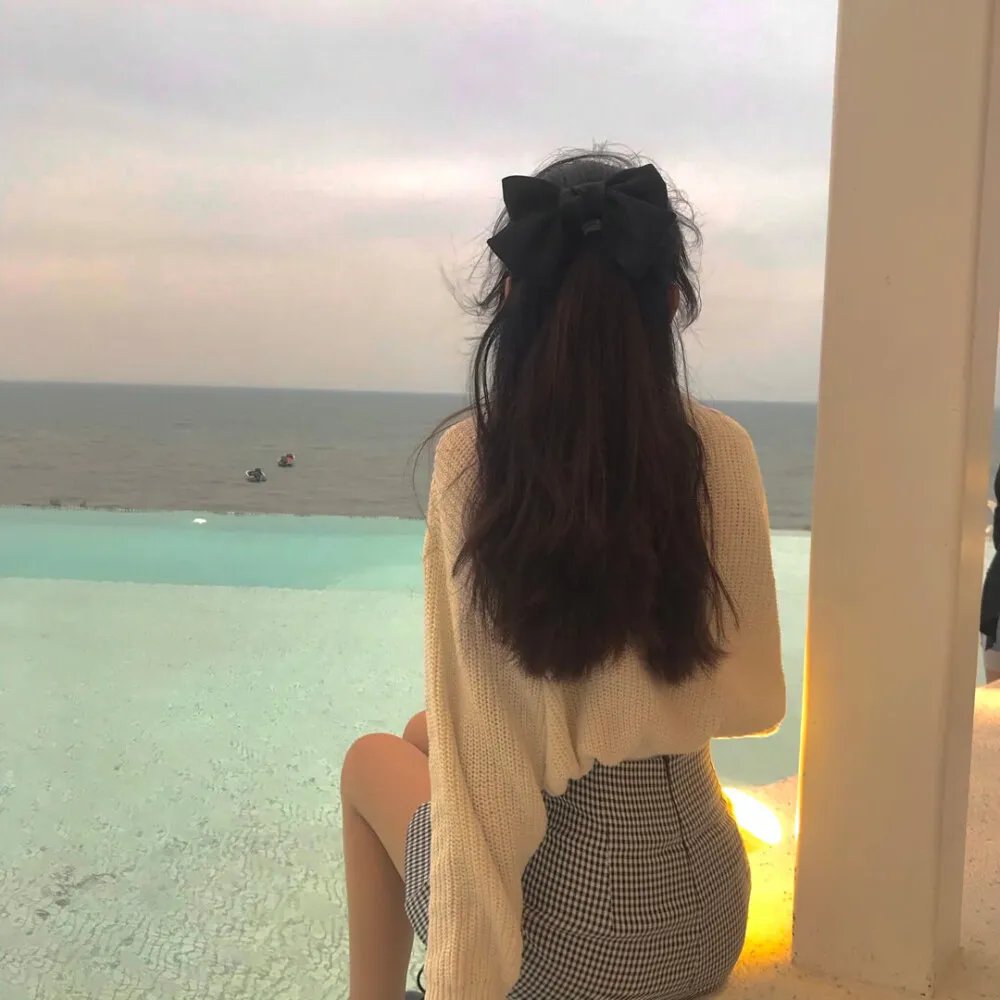 热斗小斑马
